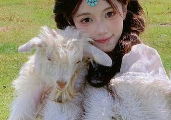 永不迷路的68种办法，全在51吃瓜群众的评论里！