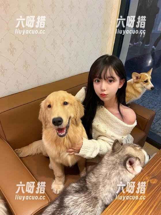 51爆料 在“51爆料”的链接中,找到未解之谜的瓜果!