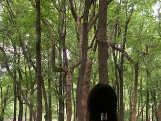 希望“911吃瓜”里的“永久”争斗能给我带来灵感，不然我真无聊到爆了！