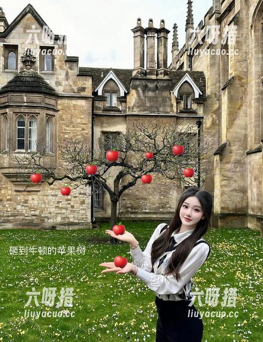 www.吃瓜官网，潜伏在八卦边缘的我，目前的追剧体验就像是在看旅行短片，没想到啊！