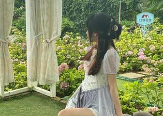 吃瓜网页的入口就像某种召唤，一下就引我进入那个诡异又温馨的世界～