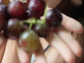 国产剧新套路！黑料不打烊官网引发热议。